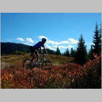 lKIF_2572.html