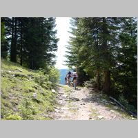 KIF_2342.html