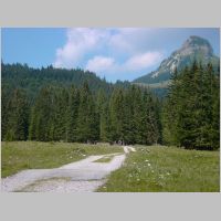 KIF_2345.html