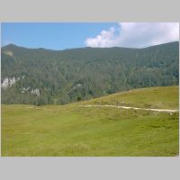 KIF_2354.html