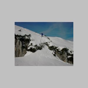 KIF_1936.html
