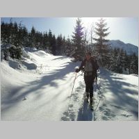 KIF_1270.html