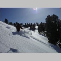 KIF_1304.html
