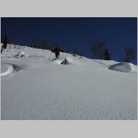 KIF_1319.html