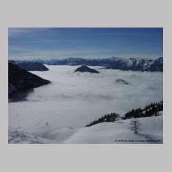 Schoenbergr02.jpg