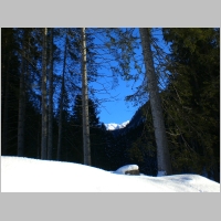 Schoenberg04.JPG