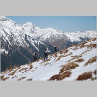 Schafdach_07.JPG