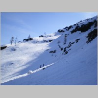 Stierkar_08.JPG