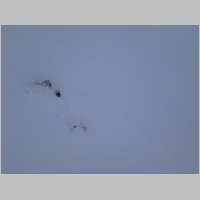 Tauplitz_23.JPG