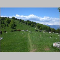 Gardasee_39.JPG