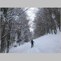 Hohe Schrott_02.JPG