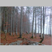 Prinzensteig_131110_03.JPG