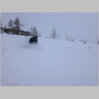 Rosskogel_08.jpg