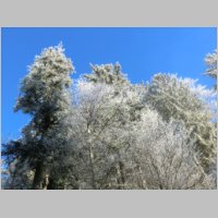 Salzofen_010111_001.jpg