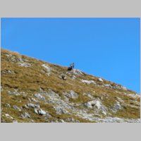 Almkogel_008.JPG