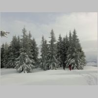 Kampl_070112_04.jpg