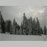 Kampl_270112_03.JPG