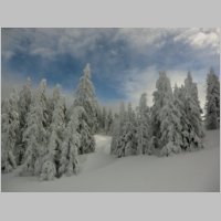 Kampl_270112_12.JPG