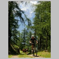 Vinschgau_31.JPG