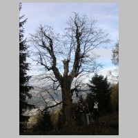 Grasberg_16.jpg