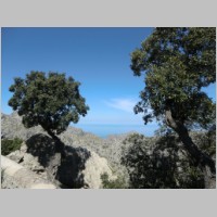 Mallorca_03.JPG