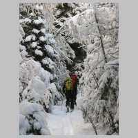 Moelbegg_03.JPG
