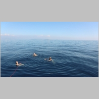 Segeln Kroatien_34.JPG