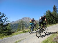 Biketage 2016 48
