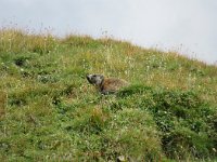 Engadin 122
