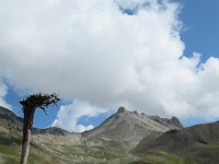 Engadin 128