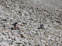 Engadin 133