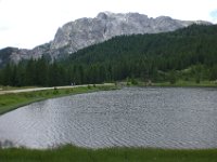 RR 55