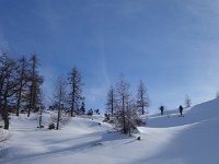 Almkogel 27