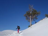 Dachstein 42