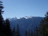 Sarstein 15