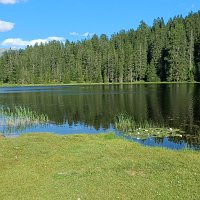 Vinschgau 08