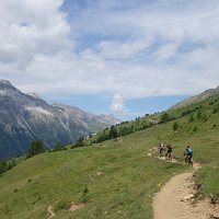 Vinschgau 35