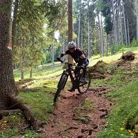 Vinschgau 47