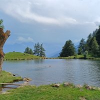 Vinschgau 49