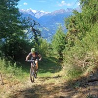 Vinschgau 82