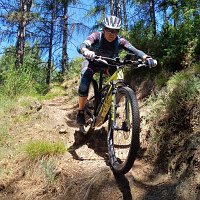 Vinschgau 87