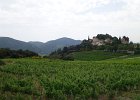 Provence 17