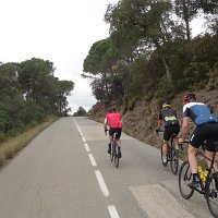Tossa 45