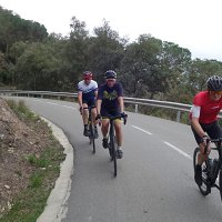 Tossa 46