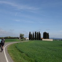 Tossa 61